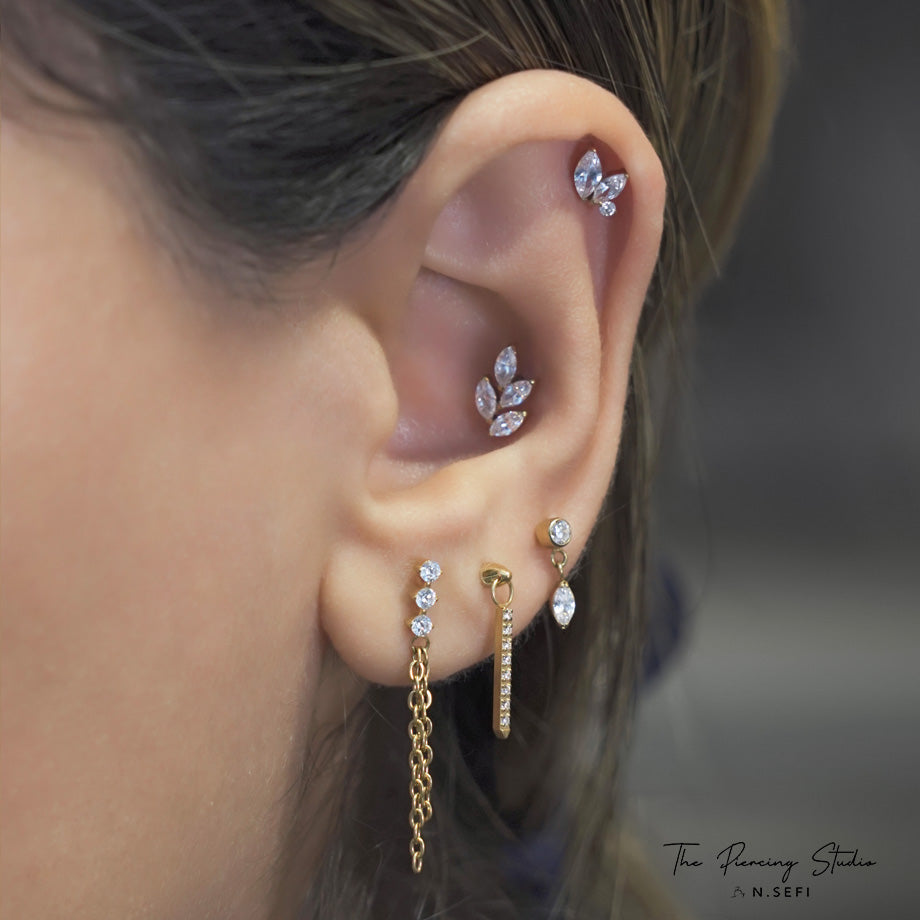 Ear
