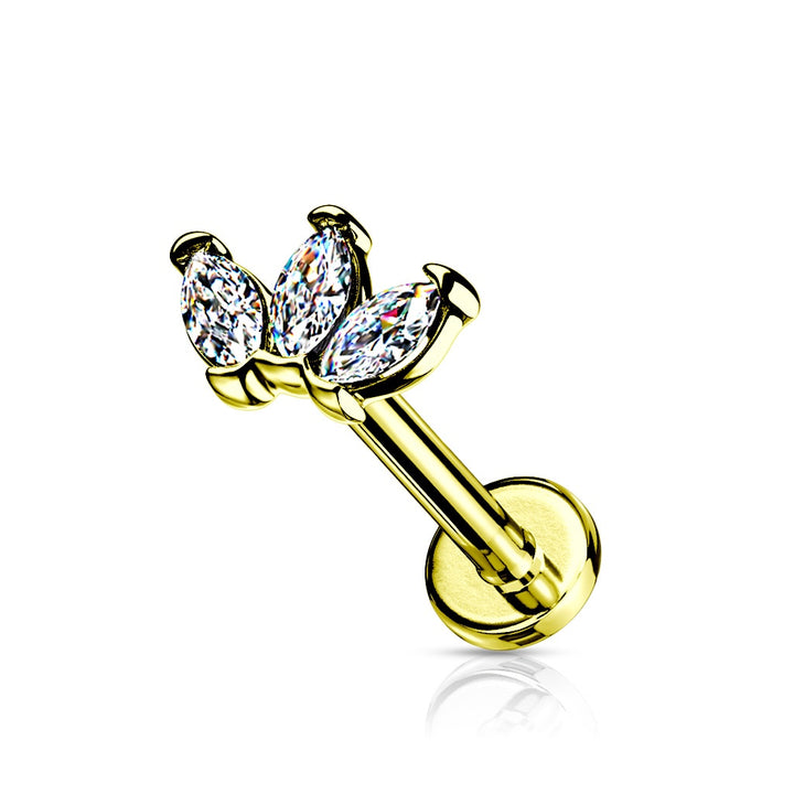 Tiny 3 Marquise